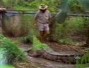 Bloopers Collection